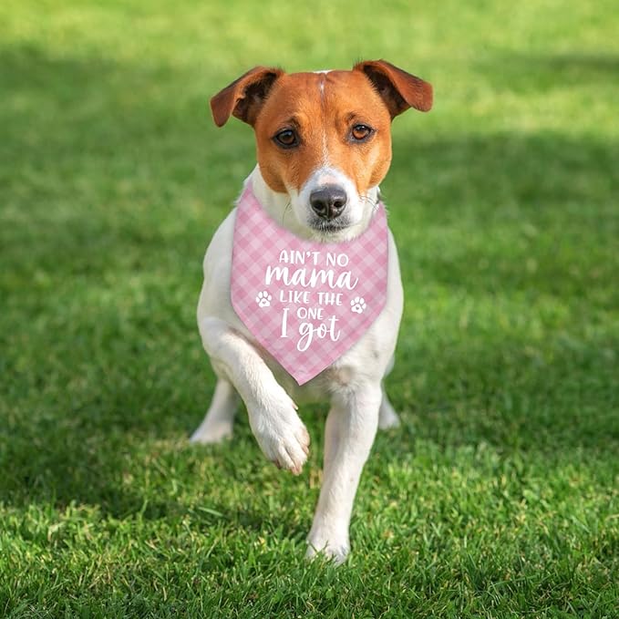 Ain’t No Mama Like The One I Got Bandana Dogs Mom's Gift Scarf Accessories Mothers Day Birthday Christmas Photo Prop Pet Scarf Accessories for Pet Dog Lovers Dog Mom Gifts - Pink Plaid