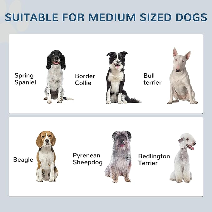 PawHut Pet Feeding Station, Elevated Dog Bowls, Dog Food Storage Cabinet with Hidden Bowls, Adjustable Panel, Hooks for Medium Sized Breed, White