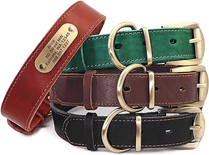 Didog Genuine Leather Dog Collars with Engraved Nameplate, Personalized Soft Leather Dog Collar with Custom ID Tag, Brown/Green/Red for Small Dogs (M,Black)