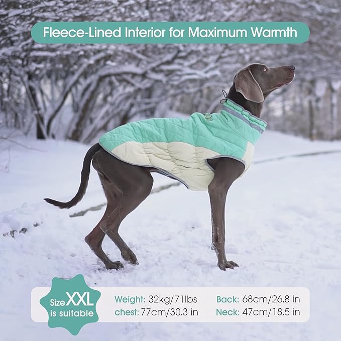 FUAMEY Dog Coat for Medium Dogs,Waterproof Dog Winter Jacket with Harness Built in Puppy Cold Weather Coats Reflective Pet Vest with Zipper Warm Fleece Dogs Snowsuit Windproof Mint Green M