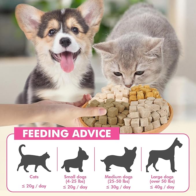 Freeze Dried Cats & Dogs Raw Treats, All Natural Single Ingredient Duck Breast, High Protein Healthy Pet Training Treats or Food Topper, 9.9 oz