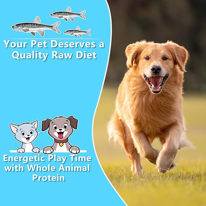 Freeze Dried Minnows, 100% Natural Premium Cat Dog Treat, Freeze Dried Minnows Pet Treats, for Dogs Cats (2.8 OZ)