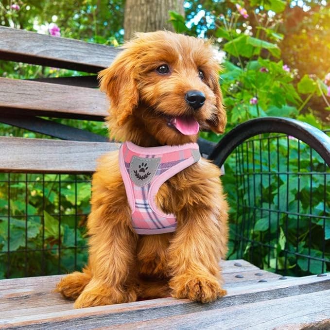 PUPTECK Adjustable Dog Harness Collar and Leash Set Step in No Pull Pet Harness for Small Medium Dogs Puppy and Cats Outdoor Walking Running, Soft Mesh Padded Reflective Vest Harnesses, Pink L