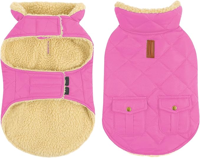 Queenmore Dog Winter Coat - Fleece Jacket, Waterproof Cold Weather Clothes, Thick Warm Cotton Padding, Easy On Storage Pockets (Pink, Medium)