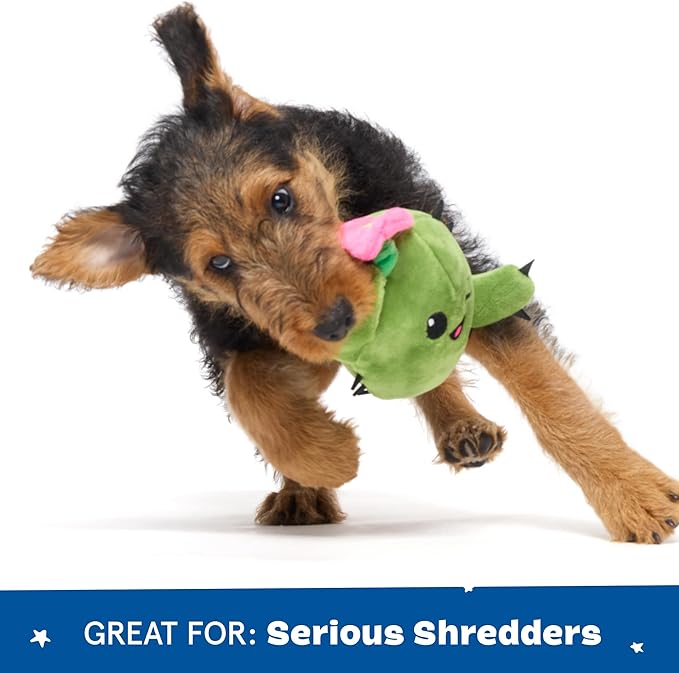 Barkbox 2 in 1 Interactive Plush Dog Toy - Rip and Reveal Toy for Dogs and Puppies - Stimulating Squeaky Pet Toys | Consuela Cactus (Small)