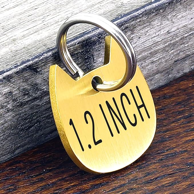 Ultra Joys Cat ID Tag Personalized Pet Tags, Durable Stainless Steel Small Pet Mini Dog Cat Tag Lightweight - Cathead Tag in Gold