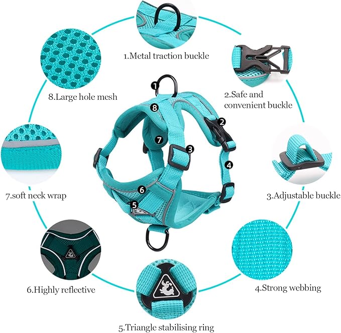 Wanheart Summer cat Chest Harness and Leash, Anti-Escape Adjustable Soft mesh cat Leash and Chest Harness Set for All Types of Cats cat Vests (Emerald, M)