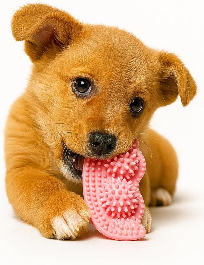 Jalousie Multipack Dog Squeaky Toys Bulk Bundle Pup Toy - Puppy Toys for Pets for Small Medium Breed (30 PCs Gift Basket)