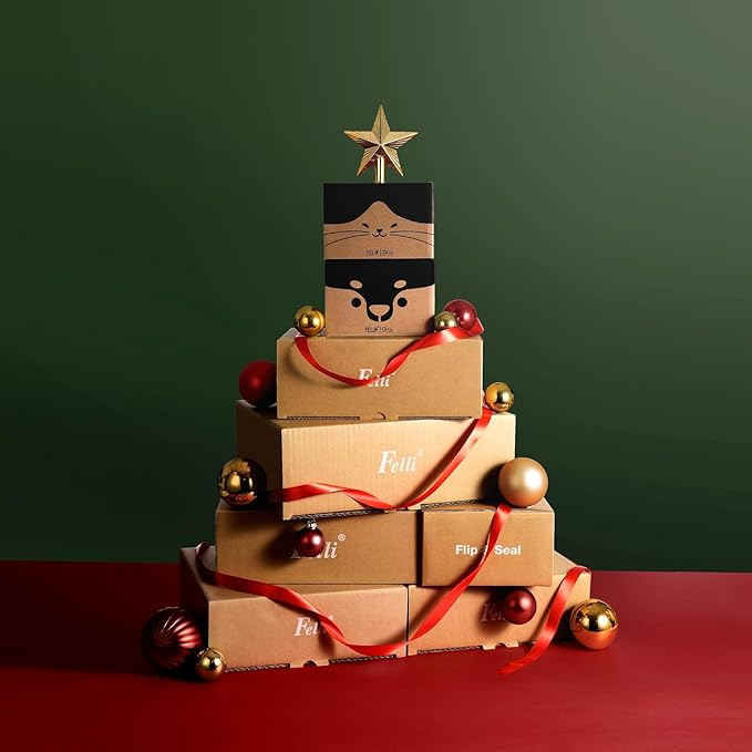 Felli Oblik Raised Dog Food Water Bowls for Small Short-Leg Dogs, Removable Stainless Steel Dish Dishwasher Safe, No Spill Tilted Metal Feeder for French Bulldog, Maine Coon Cats (1.5Cup, Classic)