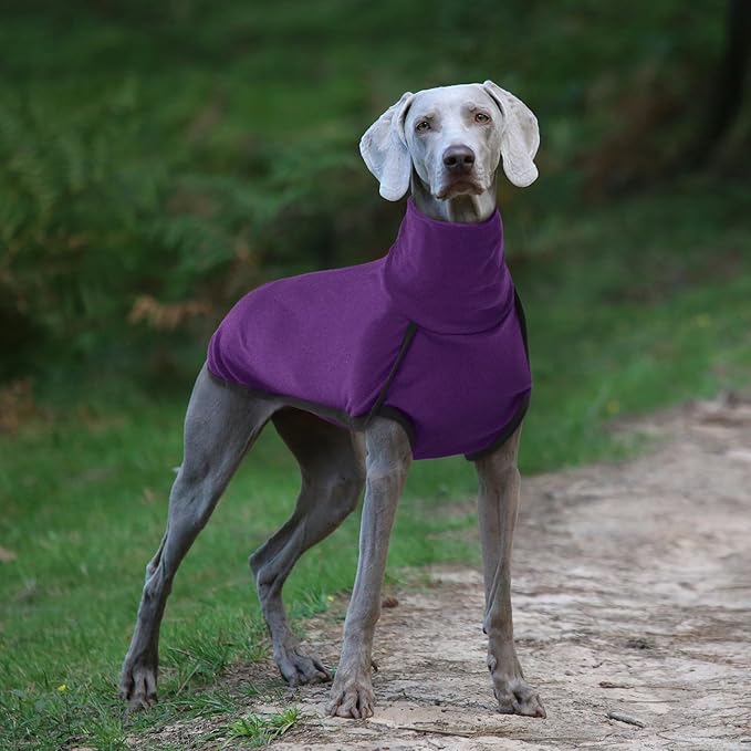 ROZKITCH Sweater for Dogs Large, Pet Windproof Warm Cold Weather Jacket Vest Cozy Jumpsuit Apparel Outfit Clothes for Walking Hiking Travel Sleep Purple XL