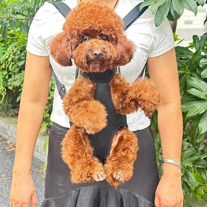 Pet Dog Carrier Backpack, Portable Breathable Mesh Chest Carrier, Polyester Woven Double Shoulder Pet Bag for Outdoor Adventures (Black, Large)