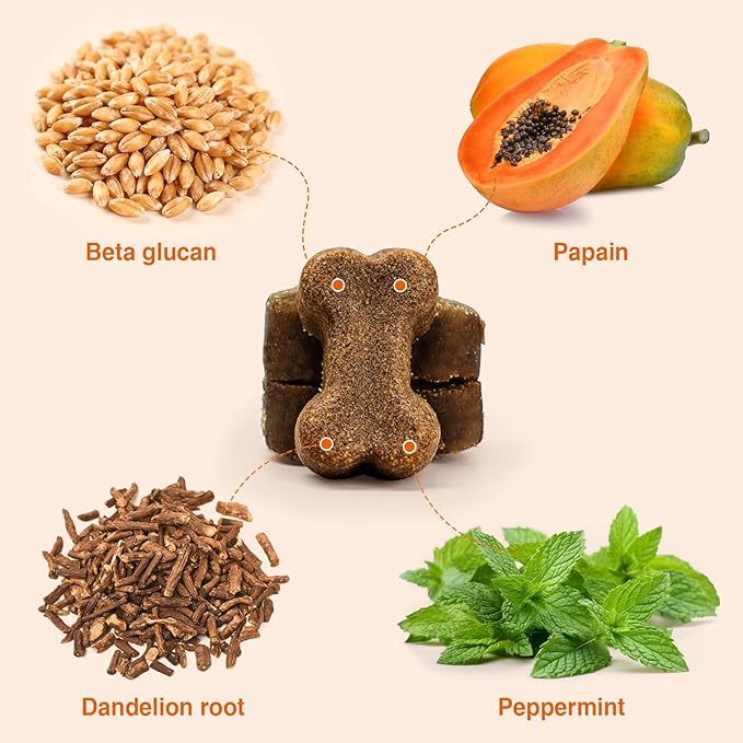 Premium Probiotics for Dogs with Digestive Enzymes & Fiber | Duck Flavor Soft Chews for Itchy Skin, Ear Health, Gut & Immune Support (Duck)