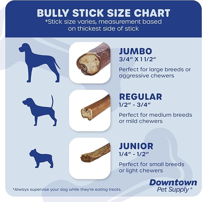 Downtown Pet Supply Bully Sticks - 12" JUNIOR - 12 Pack -SOUTH AMERICA & TURKEY