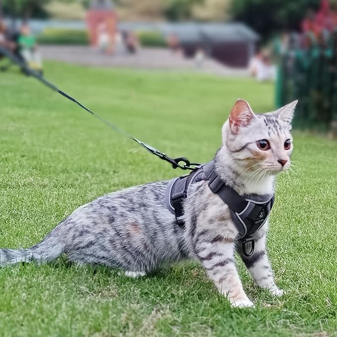 Cat Harness and Leash Set Escape Proof Tactical Small Kitten Harness Emotional Support Cat Vest, Grey, S