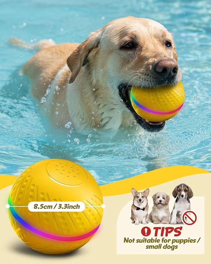 Interactive Dog Toys Ball, 2025 Upgraded 360° Anti-chew Safe Material Remote Control Dog Toy, Durable Motion Activated Automatic Rolling Dogs Balls for Medium/Large Dogs, USB Rechargeable