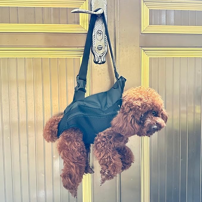 Pet Dog Carrier Backpack, Portable Breathable Mesh Chest Carrier, Polyester Woven Double Shoulder Pet Bag for Outdoor Adventures (Black, Small)