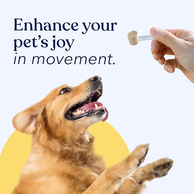 Honest Paws Glucosamine for Dogs – Joint & Mobility Supplement Powder with Green Lipped Mussel, Fish Oil & MSM – Supports Hip & Joint Health, Support Stiffness, Dog Supplies