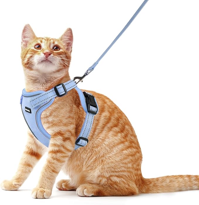Rttochfy Cat Harness and Leash Set, Adjustable and Reflective Cat Vest, Escape Proof Kitten Harness, Easy to Put on with 3 Buckles for Cats Walking and Traveling (Blue, M)