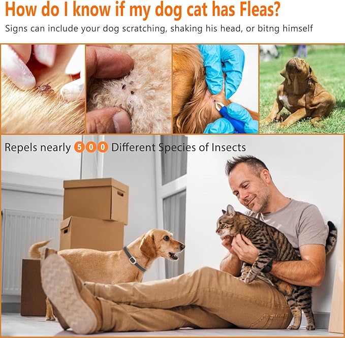 Flea Collar for Dogs and Cats, Dogs Flea and Tick Collar, Pet Flea & Tick Collar Fit of Large Medium Dog and Cat - 25 Inch