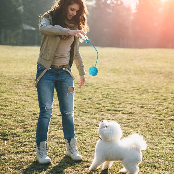 Dog Training Ball on Rope, 2Pcs Dog Rope Toys for Chew Training, Pull Throw and Fetch