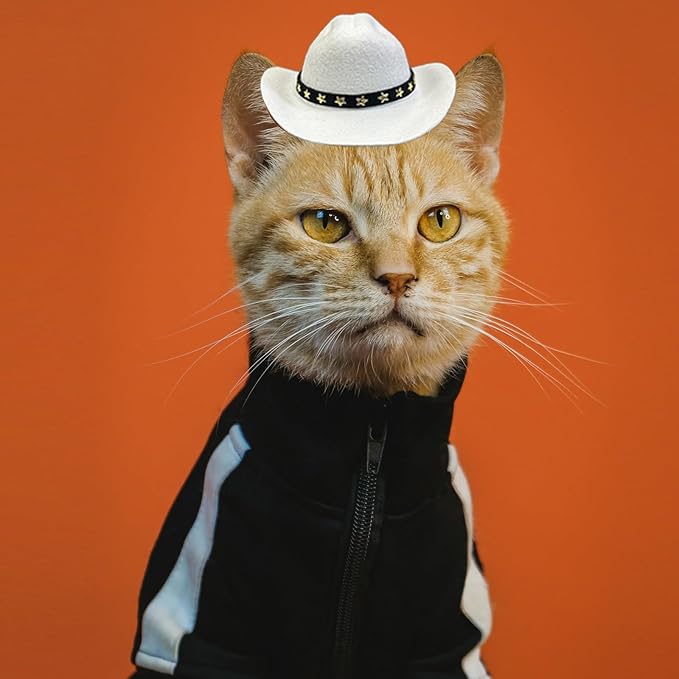 Dog Cowboy Hat Cat Cowboy Hat Pet Cowboy Costume Mini Cowboy Hat for Dogs Cat Holiday Halloween Pet Party Decoration (White, Small)