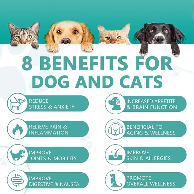 Max Potency Hemp Oil for Dogs Cats - Help Pet Anxiety Stress Pain Inflammation Arthritis Aggressive Relax Sleep Allergies Seizures Relief - Pets Treats Chews Joint Hip Organic Cat Dog Calming Drops