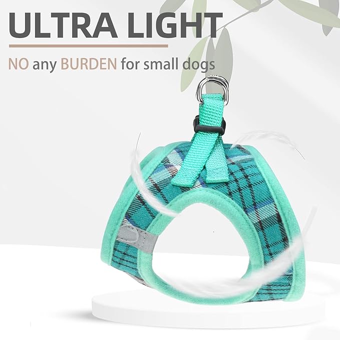 PUPTECK Adjustable Dog Harness Collar and Leash Set Step in No Pull Pet Harness for Small Medium Dogs Puppy and Cats Outdoor Walking Running, Soft Mesh Padded Reflective Vest Harnesses, Lake Green XXS