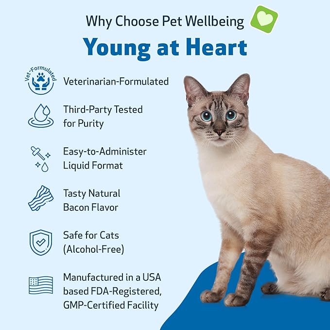 Pet Wellbeing Young at Heart for Cats - Senior Feline Heart Health Support, Cardiovascular Wellness & Vitality - NASC Certified & Vet-Formulated - 4 oz Liquid Formula