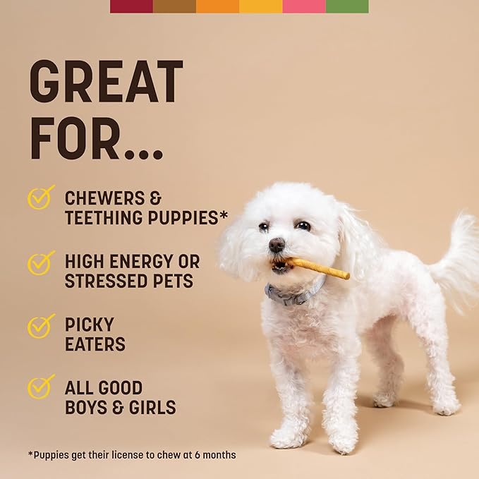 Earth Animal No Hide Stix - Long Lasting Rawhide Free Small Dog Chews Sticks, Mango - 20 Count Value Pack