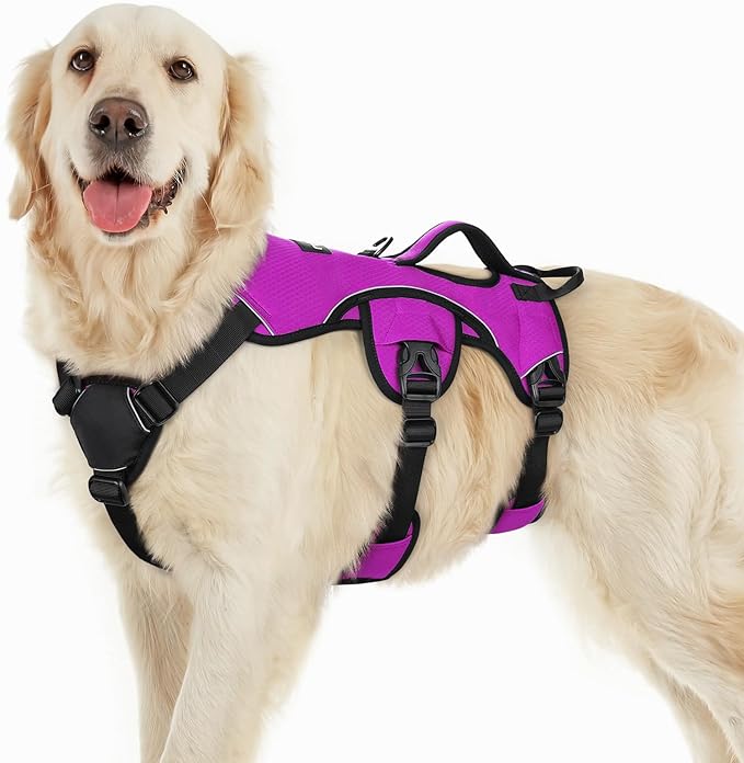 rabbitgoo Escape Proof Dog Harness, Soft Padded Full Body Pet Harness, Reflective Adjustable No Pull Vest with Lift Handle and Lesh Clip for Large Dogs Walking Hiking Training, L, Purple
