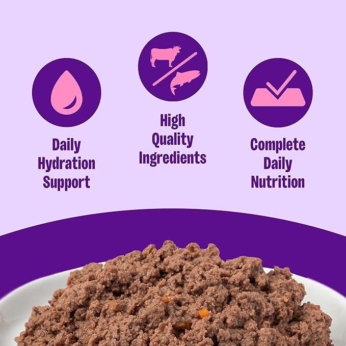 Wellness Complete Health Pate Adult Wet Cat Food, Natural, Protein-Rich, Grain Free, 3 Ounce, 24 Pack, (Beef & Salmon)