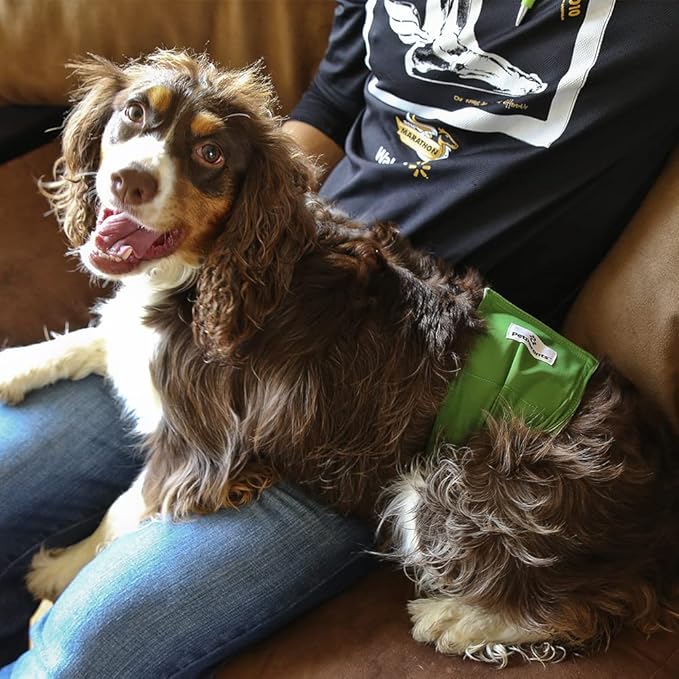 Pet Parents® Washable Belly Bands for Male Dogs (3pack) + Extendrs® of Durable Dog Diapers Male, Premium Male Dog Diapers & Dog Wraps (Small, Gentlemen)