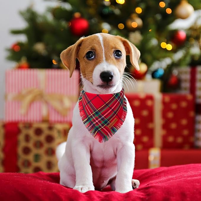 ADOGGYGO 2 Pack Dog Bandana Christmas with Tassels Edges, Stylish Red Green Plaid Puppy Scarf Bibs Kerchief, Premium Cotton Fabric, Pet Christmas Bandanas for Small Dogs (Small)