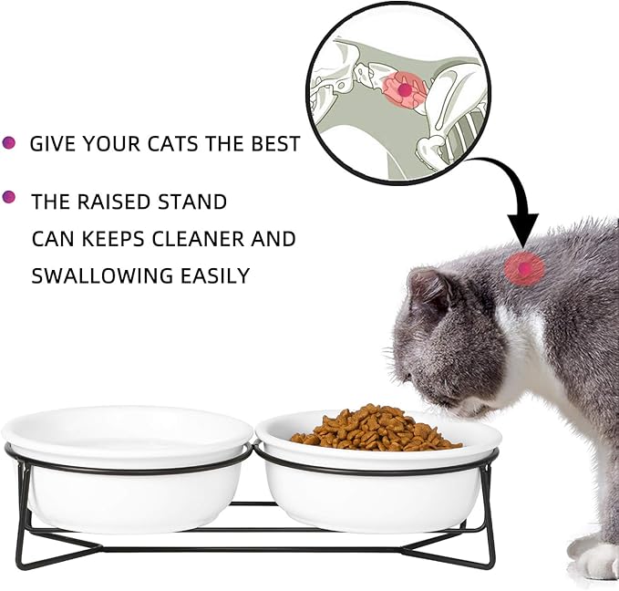 Double Ceramic Raised Cat Bowl with Metal Stand for Pet Food and Water Dishes,12 Ounces