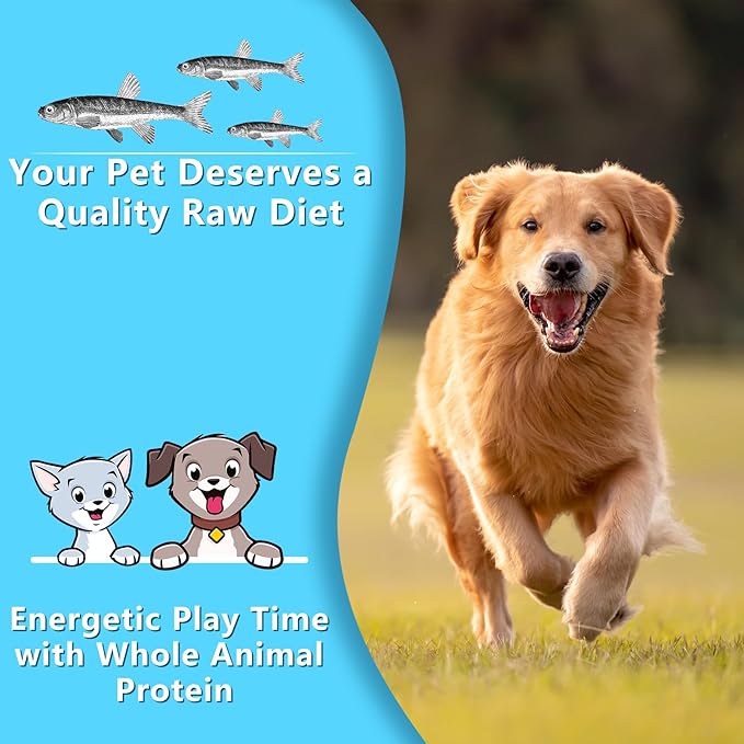 Minnows, 100% Natural Air Dried Minnows for Dog & Cat, Grain-Free, High-Protein, 100% Natural Premium Cat & Dog Treats 4.5 oz