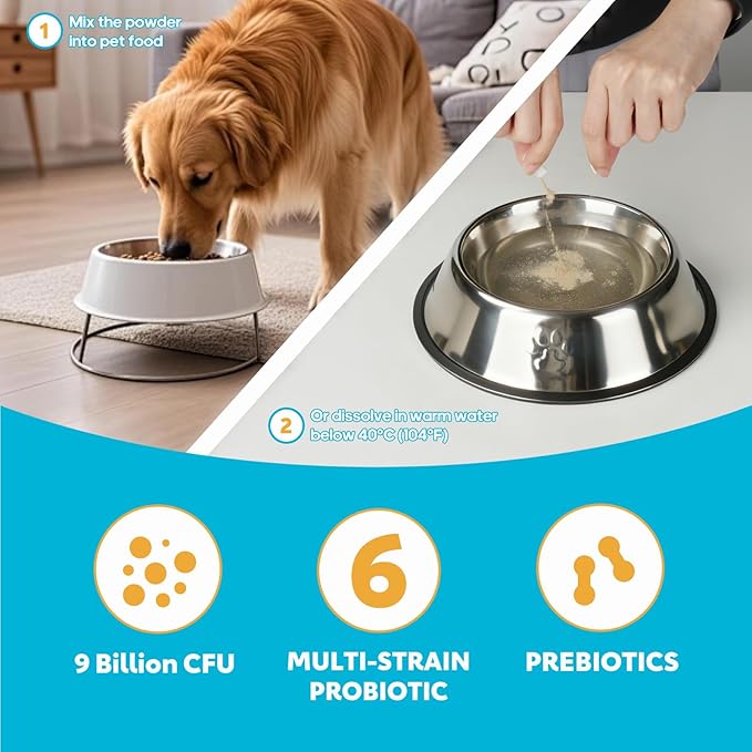Probiotics for Dogs, Dog Probiotics with Digestive Enzymes with and Prebiotics for Support Gut & Digestion Health, Immune Support, Reduce Diarrhea, 120 Capsules