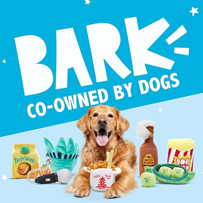 Barkbox 2 in 1 Interactive Plush Dog Toy - Rip and Reveal Toy for Dogs and Puppies - Stimulating Squeaky Pet Toys | Consuela Cactus (Small)