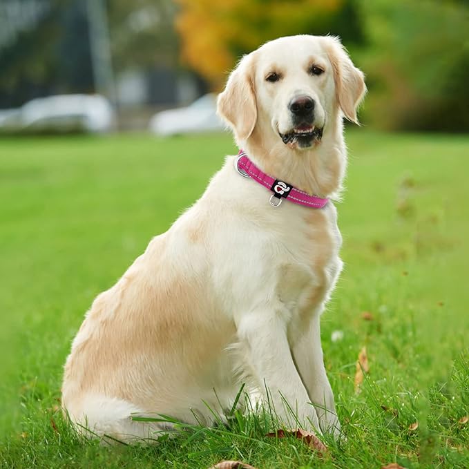 azuza Reflective Dog Collar,Soft Neoprene Padded Pet Collar with ID Tag Ring,Adjustable for Large Dogs,Hot Pink,L