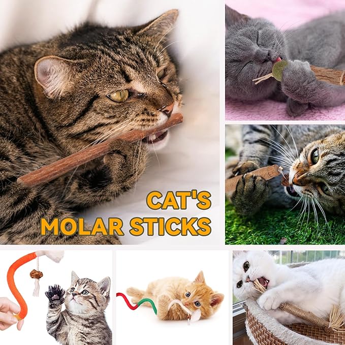 Cat Toys Cat Chew Toys, Silvervine Sticks Catnip Rope Toys for Cats Teeth Cleaning, Kitten Dental Care, Kitty for Indoor Cats Increase Appetite,Enhances Oral & Dental Health (21 Pack)