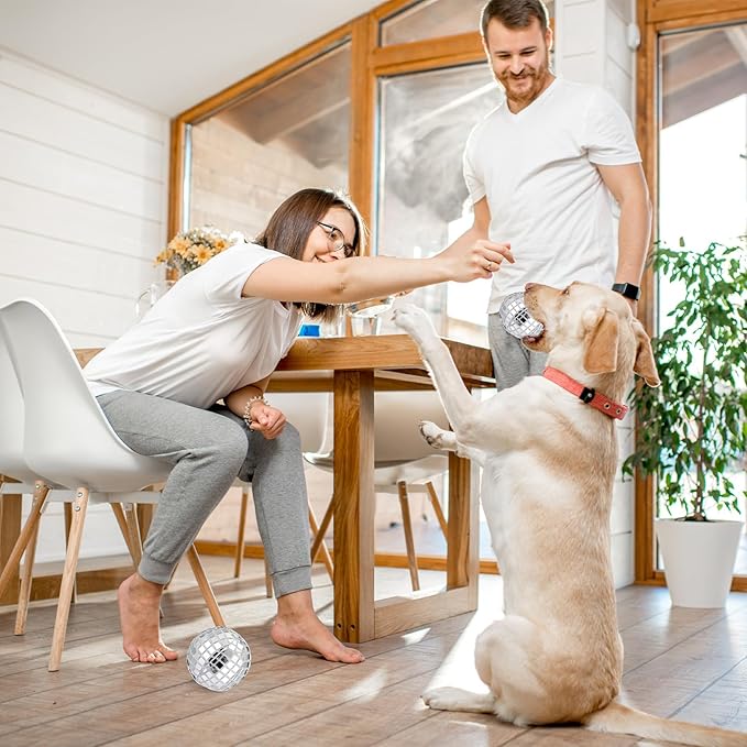 HyDren 2 Pcs Dog Disco Plush Balls, 4 in Squeaky Stuffed with Fluffy Squeaky Toys Pet Interactive Chew Balls for Small and Medium Puppy Dogs Cats