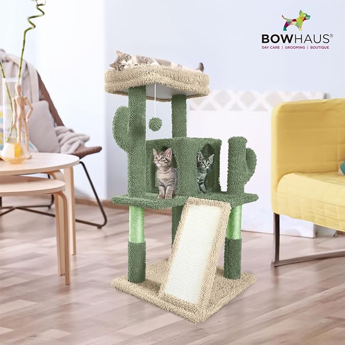 CAPHAUS Cactus Cat Tower for Indoor Cats, Cute 37-Inch Small Cactus Cat Tree w/Widened Perch for Large Cats & Kittens, Multi-Level Cat Activity Tree w/Scratching Posts & Ramp, 2-Door Cat Cave Condo