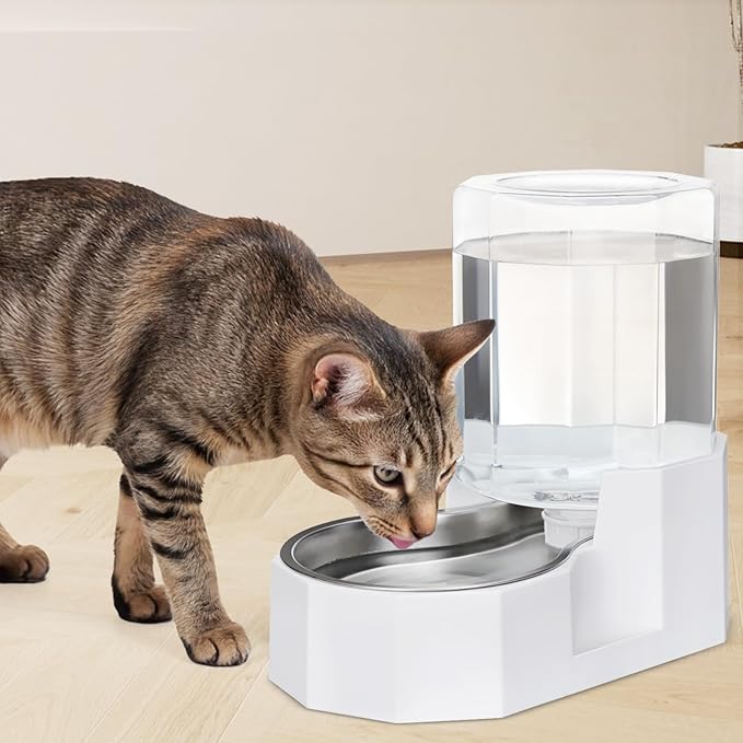 Sfozstra Gravity Water Bowl Dispenser : Automatic 4L White Cat Stainless Steel Feeder Without Filters for Pets Indoor/Outdoor by Owners