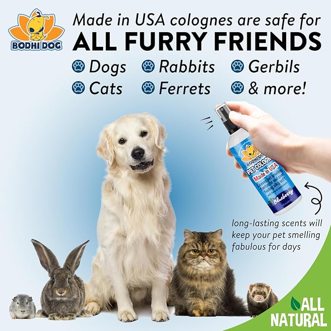 Bodhi Dog Premium Dog Cologne - Deodorizing Dog Perfume & Conditioner for Dogs & Cats - Natural Long Lasting Spray - Keeps Pets Fresh All Day - Gentle & Safe Formula, Made in USA (Blueberry 8 Fl Oz)