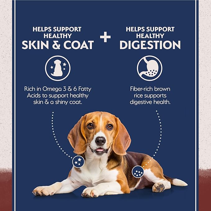 Natural Balance Limited Ingredient Adult Dry Dog Food with Healthy Grains, Beef & Brown Rice Recipe, 4 Pound (Pack of 1)