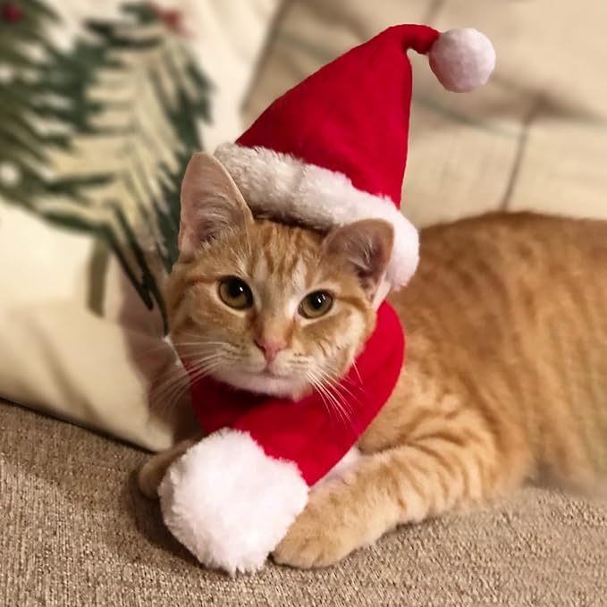 Cat Santa Hat with Scarf, Christmas Costume Suit for Cats Small Dogs Rabbits Doll, Holiday Party Decoration for Pets, Red S