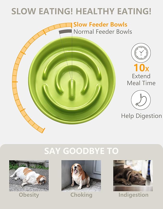 Ceramic Slow Feeder Dog Bowls Elevated, 0.6 Cup Slow Feeder for Small Dogs and Cats, Puzzle Maze Bowl, Prevents Choking, 6in, Green