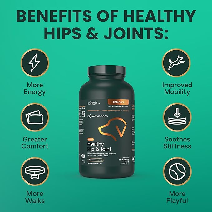 VetriScience Healthy Hip & Joint, GlycoFlex 2 for Dogs – Vet Formulated Glucosamine, MSM & Green-Lipped Mussel Tablets to Support Mobility, Flexibility & Joint Health, 120 Cnt