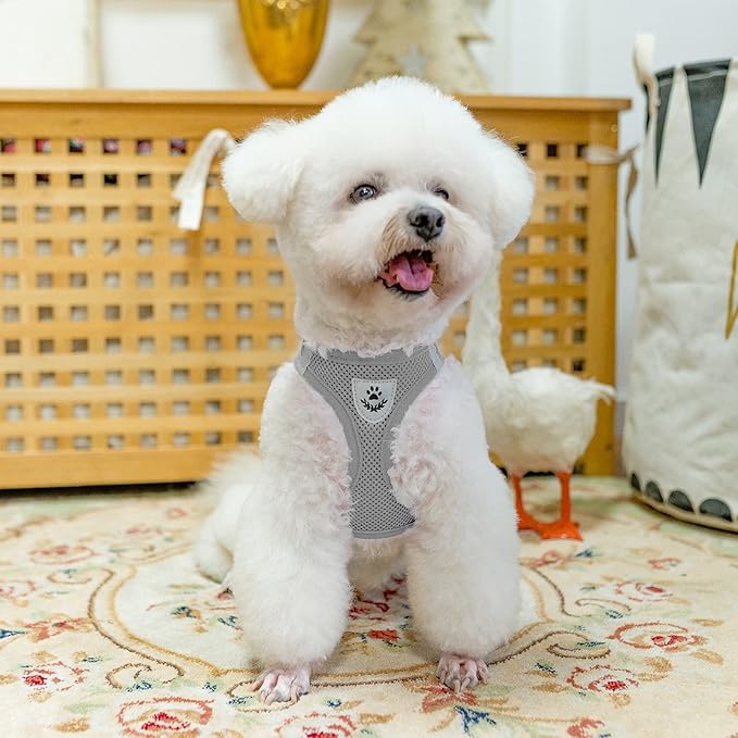 PUPTECK Adjustable Dog Harness Collar and Leash Set Step in No Pull Pet Harness for Small Medium Dogs Puppy and Cats Outdoor Walking Running, Soft Mesh Padded Reflective Vest Harnesses, Solid Grey S