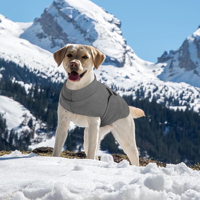 Queenmore XXL Dog Sweaters, Soft Fleece Vest Pullover Dog Jacket with Leash Hole, Warm Winter Dogs Clothes Cold Weather Doggy Dachshund Sweater for Large Dogs Cats Boy or Girl (Grey, XXL)