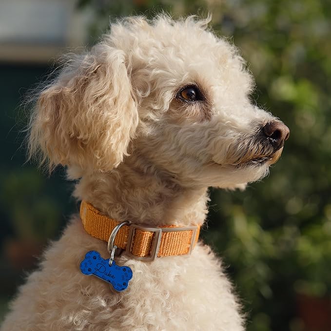 Personalized Dog Tags, Stainless Steel Custom Dog ID Tags for Pets, Bone Shaped pet tag with deep Engraving, 6 Stylish Colors, Durable Dog Name Tags Personalized for Pets, Dog tag.